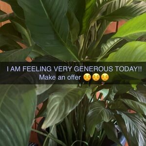 FEELING GENEROUS!!!! MAKE AN OFFER :)